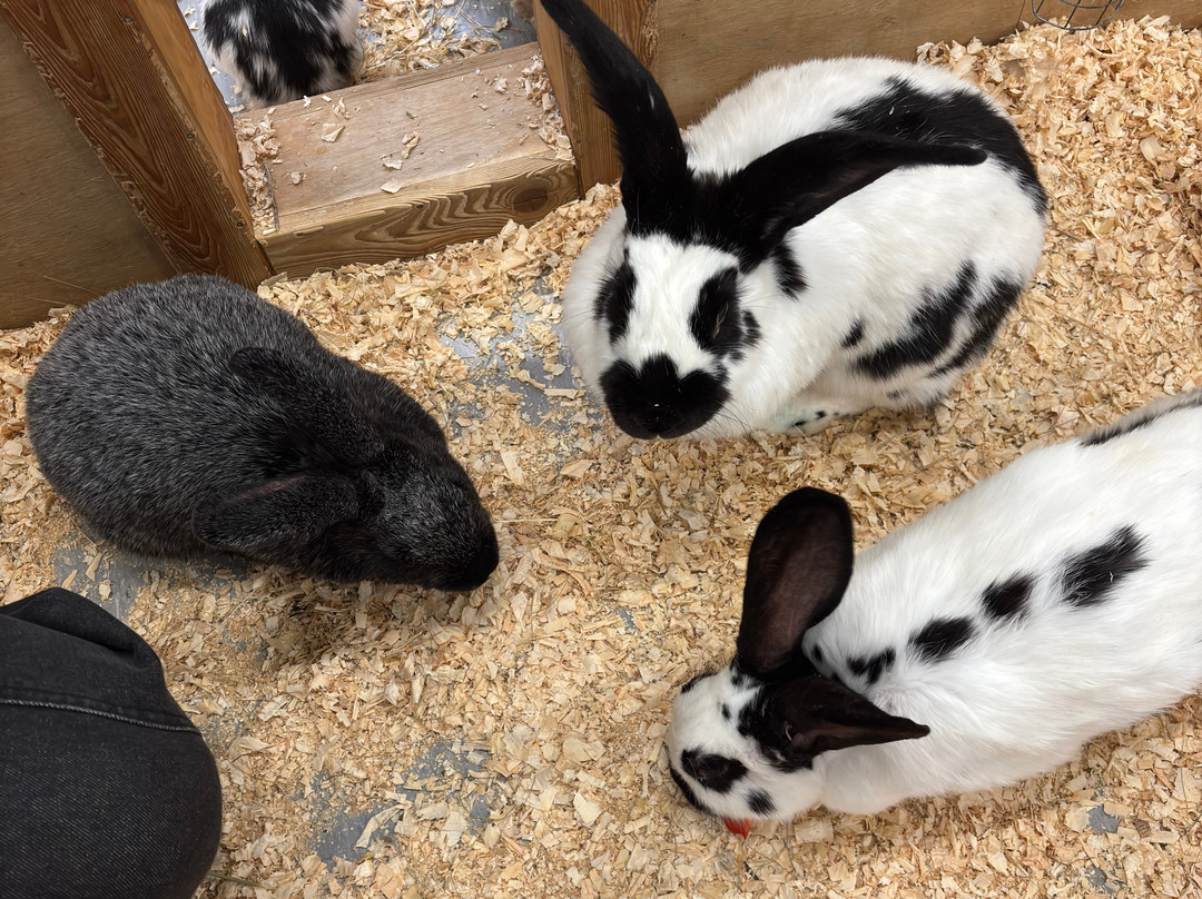 Strana Enotiya-克拉斯诺亚尔斯克必去景点