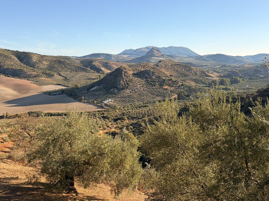 Via Verde de la Sierra-Olvera必去景点