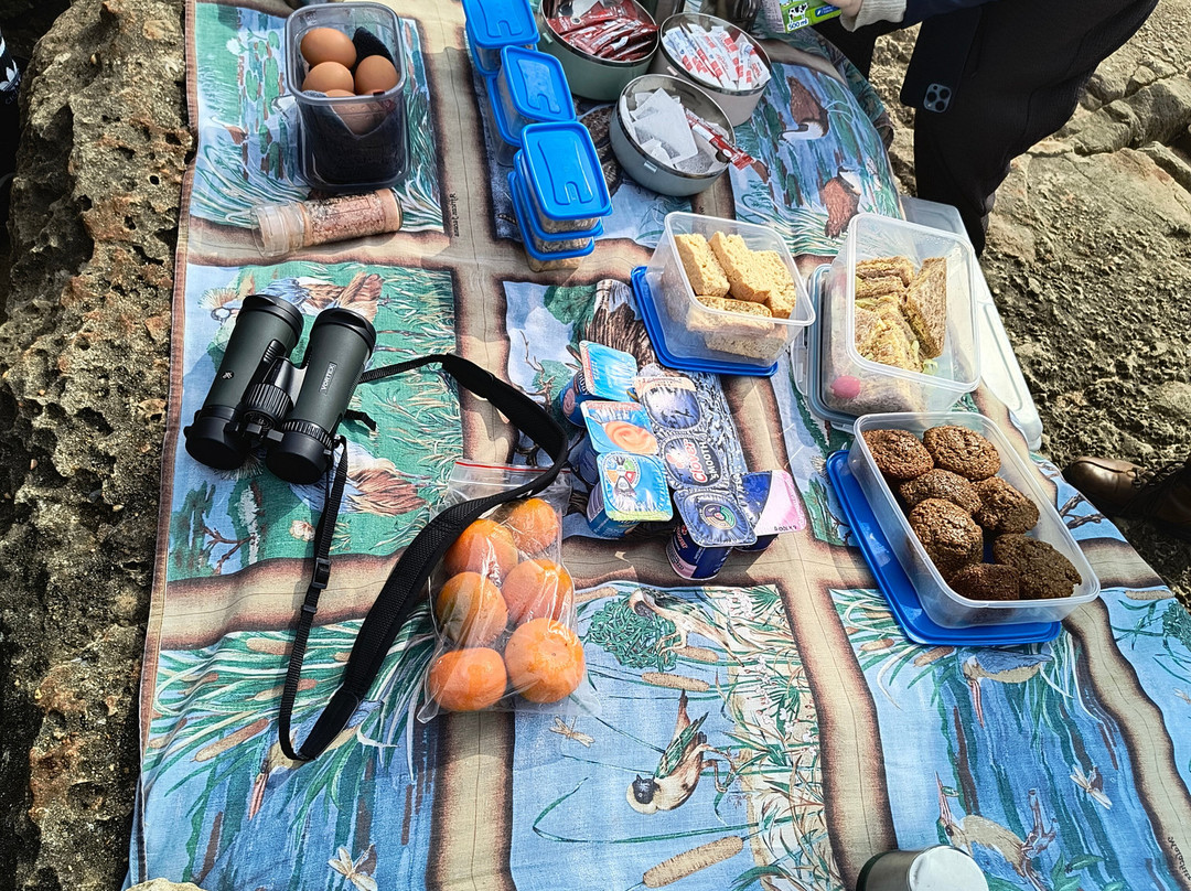 EuroZulu Guided Tours & Safaris-圣露西亚必去景点