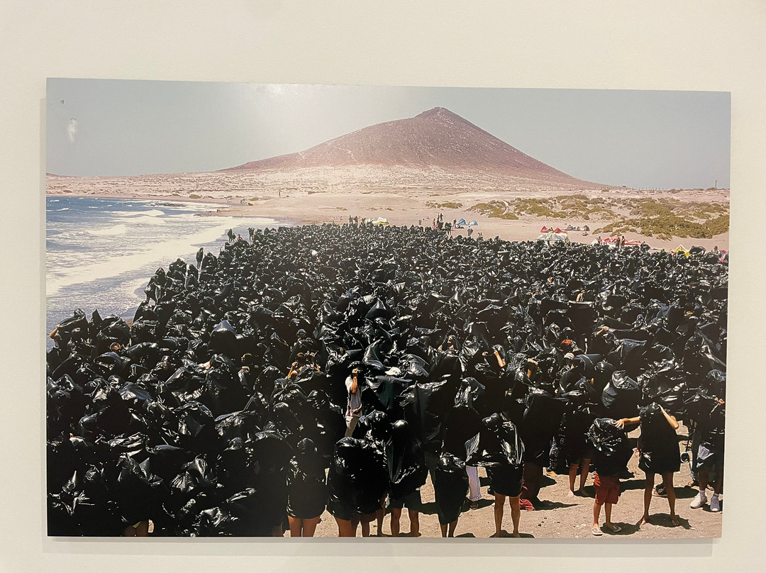 TEA Tenerife Espacio De Las Artes-圣克鲁斯-德特内里费必去景点