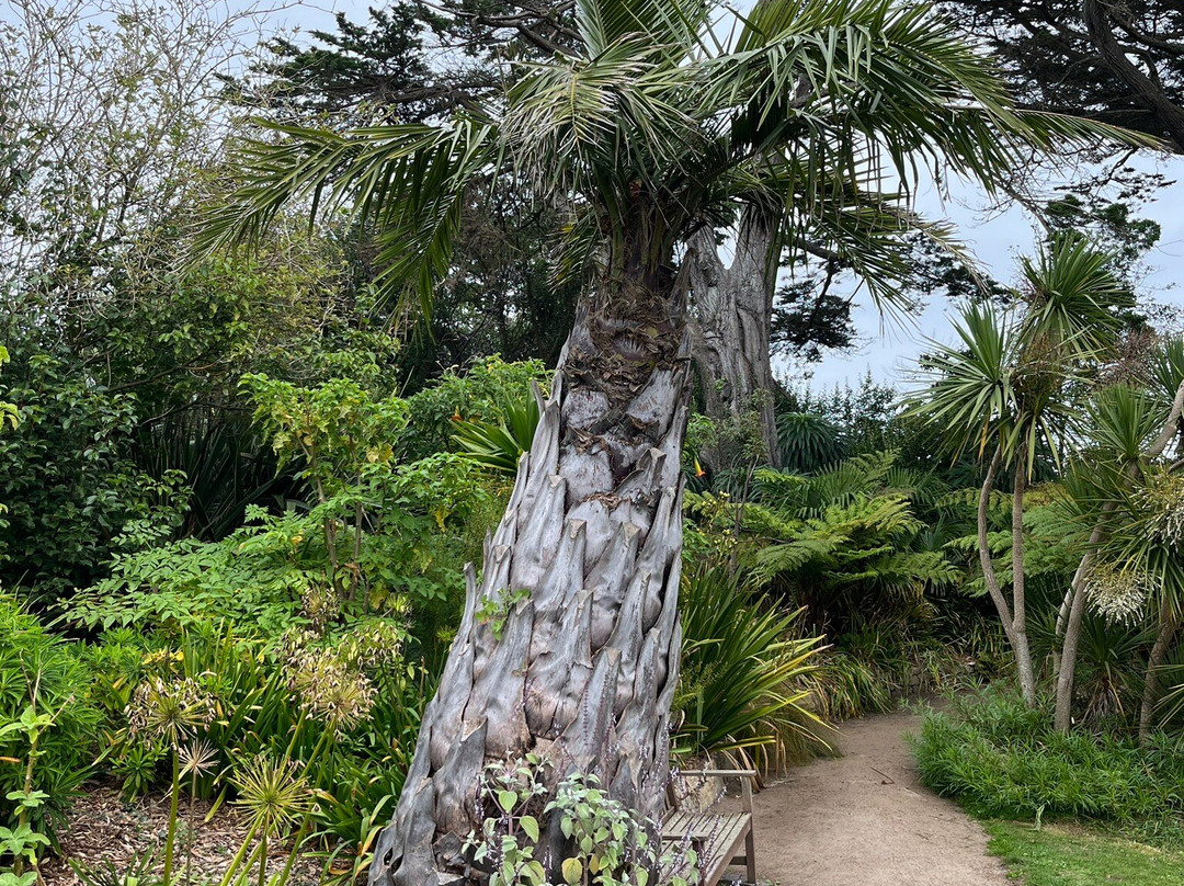 Jardin Georges Delaselle-Ile-de-Batz必去景点