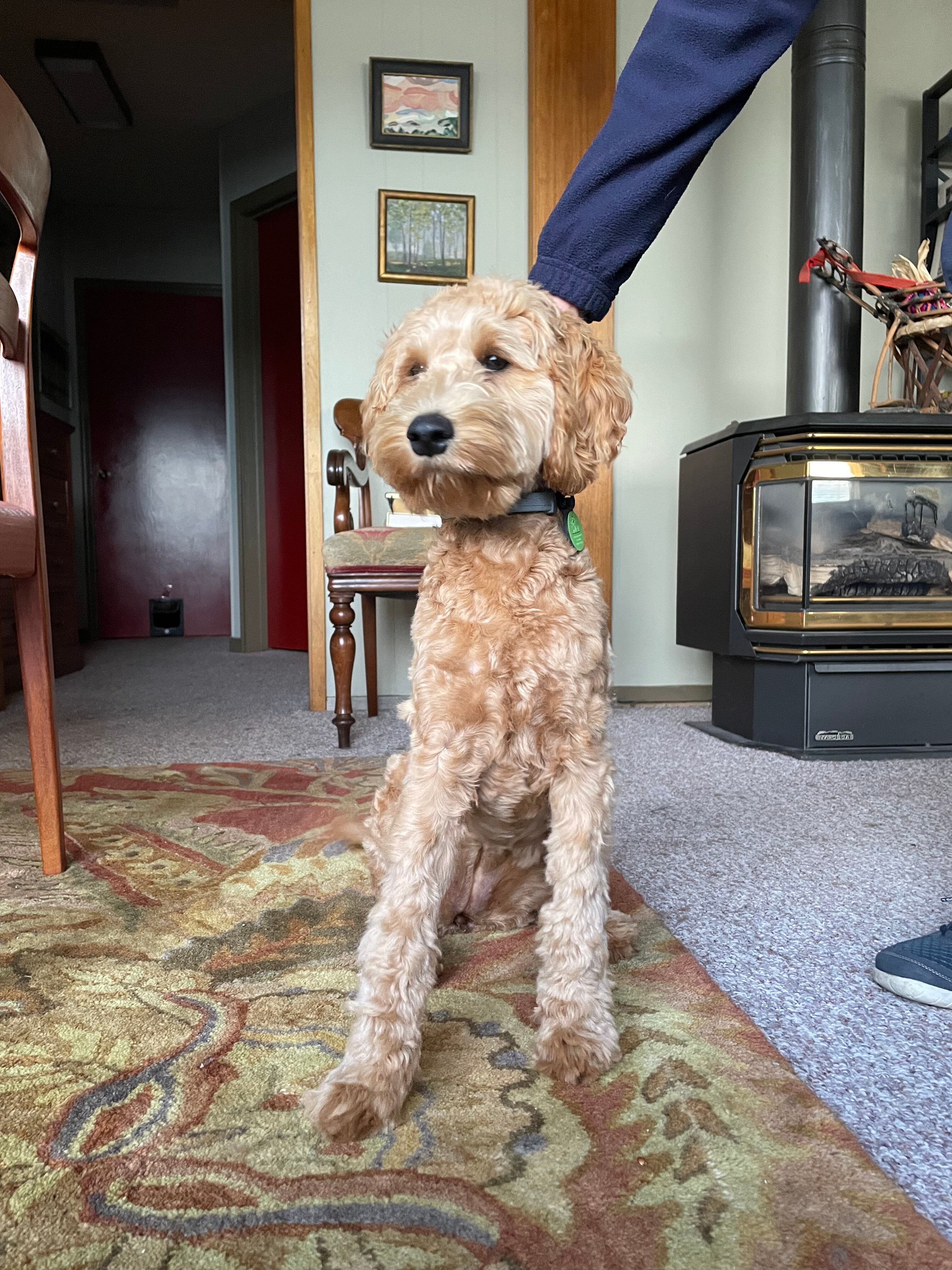 Glen Ayr Resort-官方