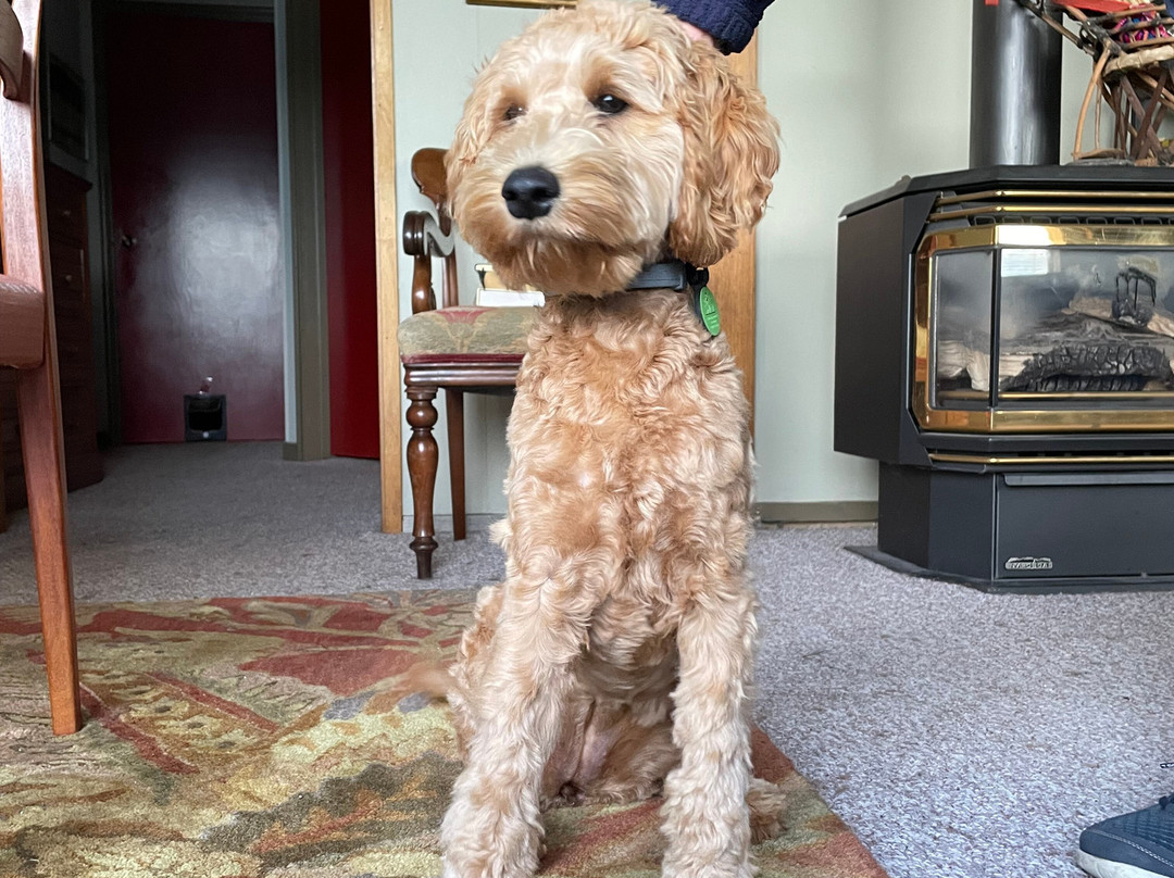 Glen Ayr Resort主图