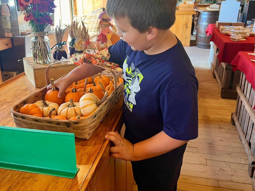 Wallingford Farm-Kennebunk必去景点