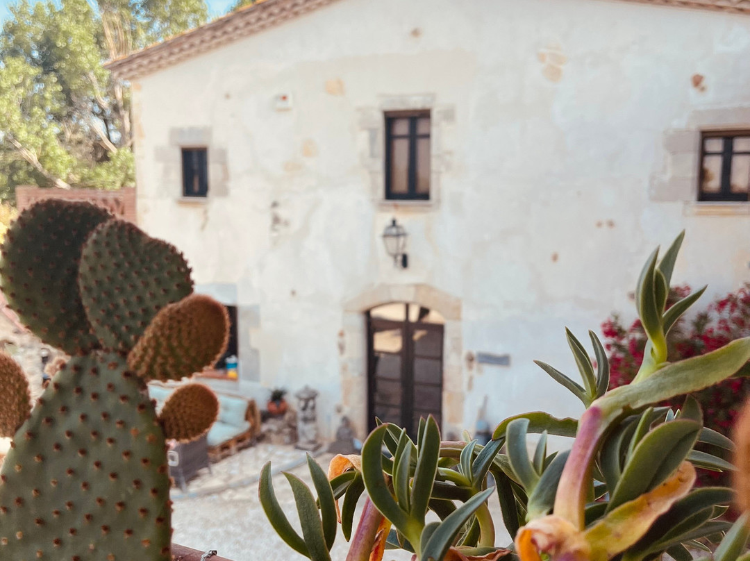 B&B El Ranxo Caldes de Malavella主图