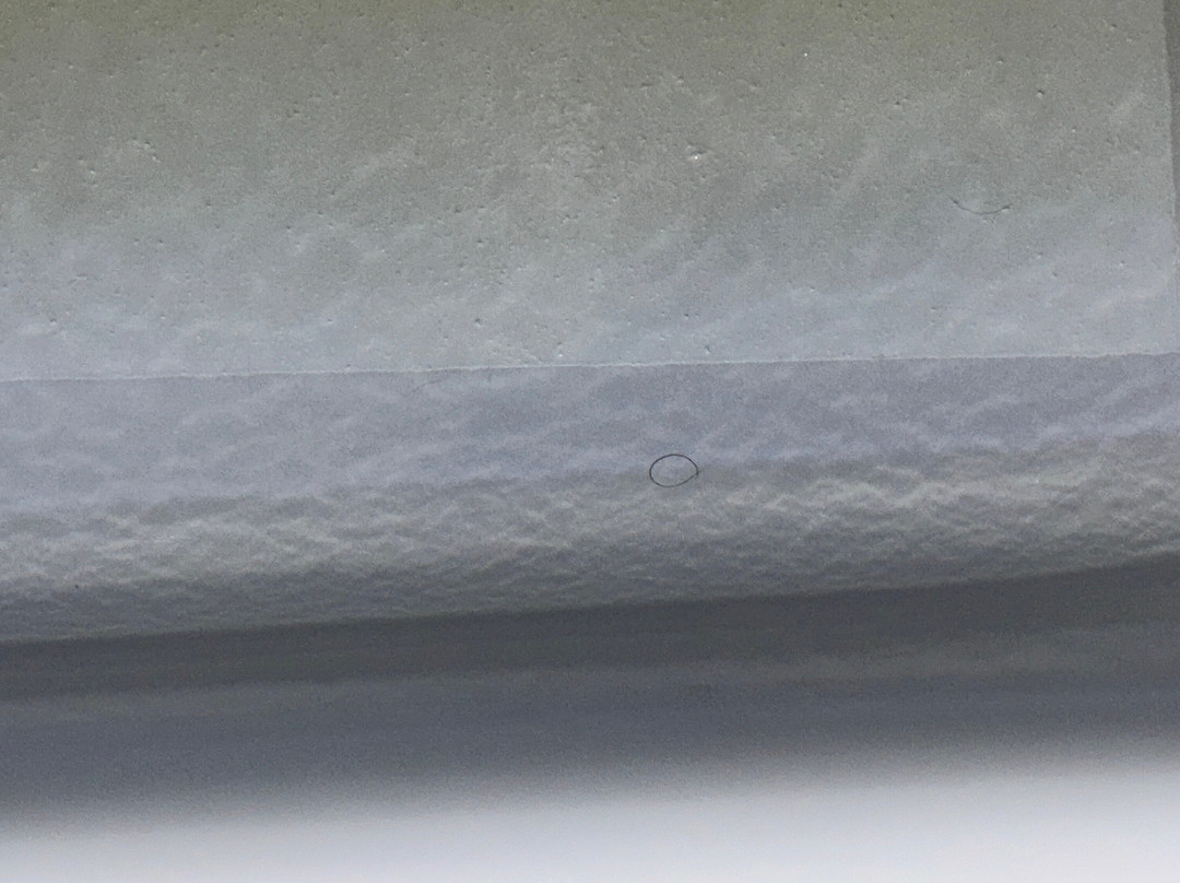 Quality Inn Near Grand Canyon主图