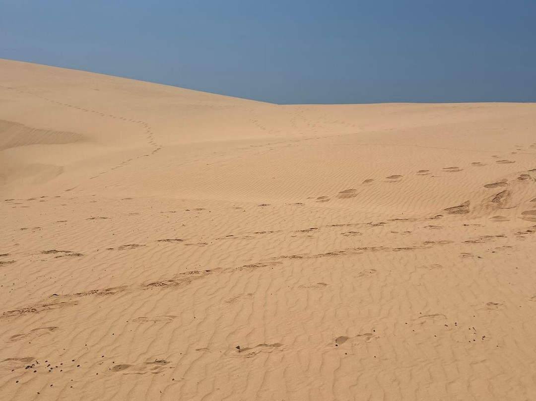 Bazaruto Incoming Agency-Vilanculos必去景点