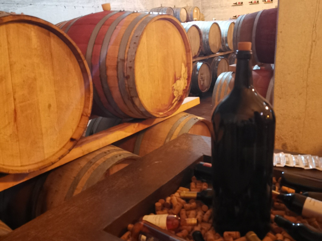 Ktima Christoudia Winery-拉纳加必去景点