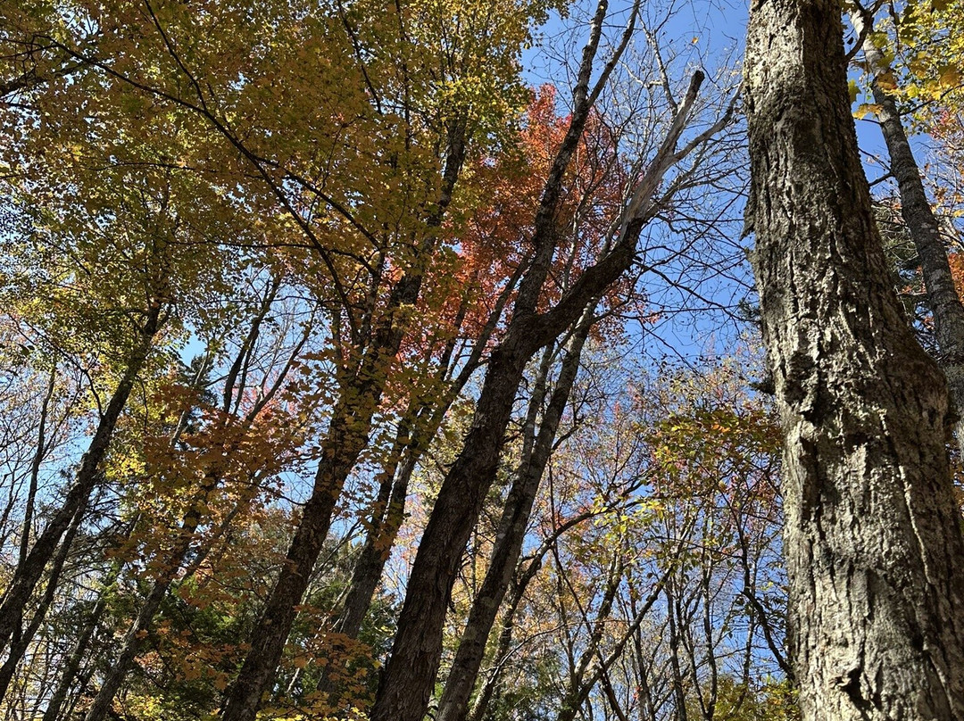 Cranmore Mountain Resort-北康威必去景点