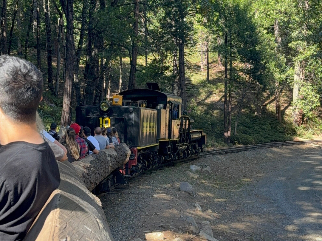 Yosemite Mountain Sugar Pine Railroad-菲什营必去景点
