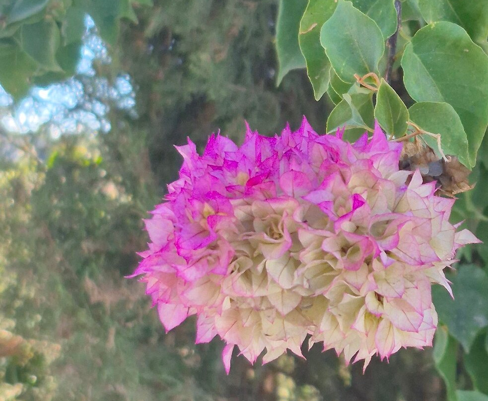 Cyprus Wine Museum-Erimi必去景点