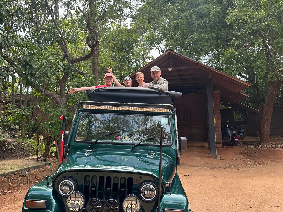 Minneriya jeep safaris tour-哈巴拉娜必去景点