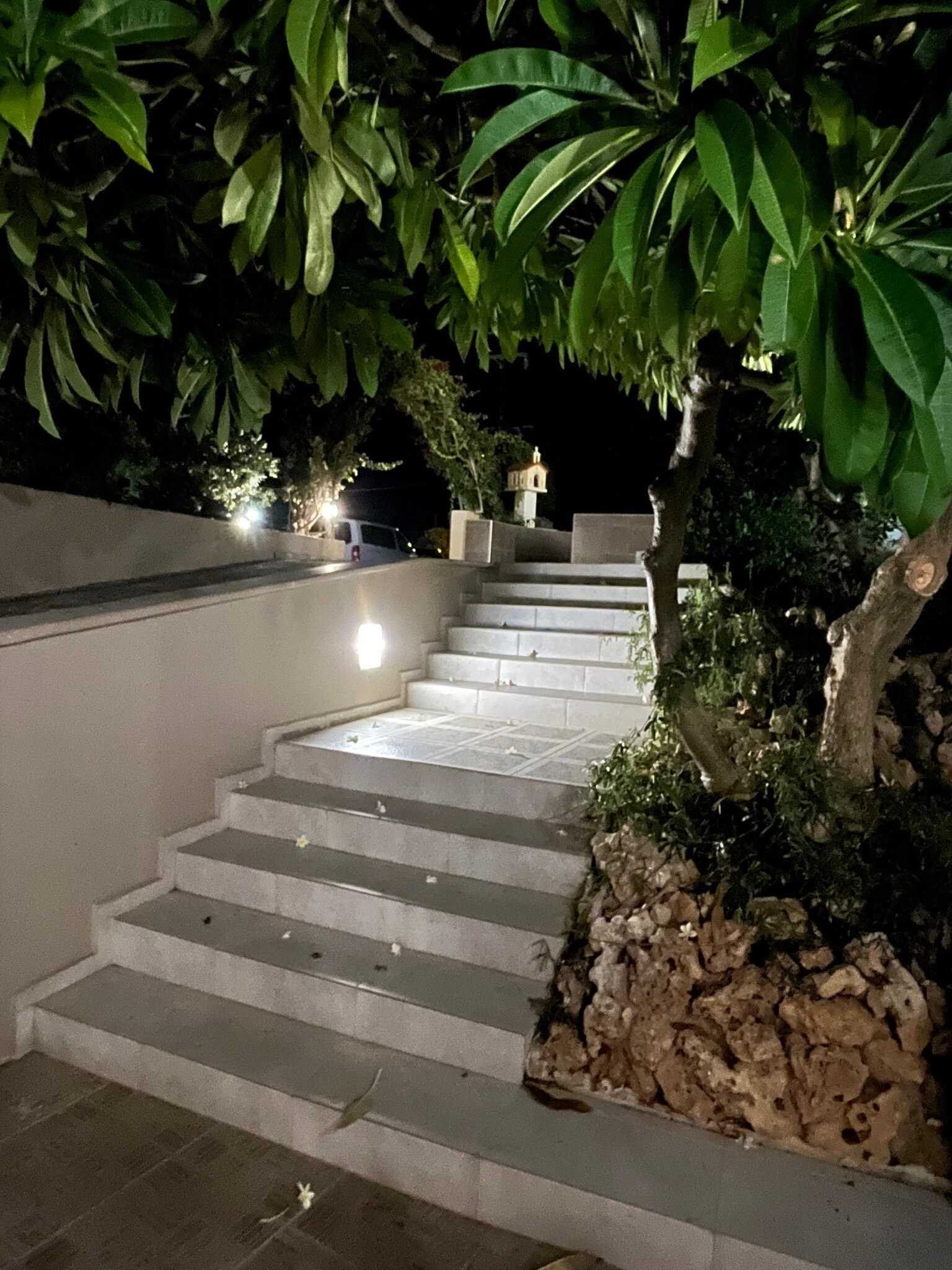 Alfa Apartments-官方