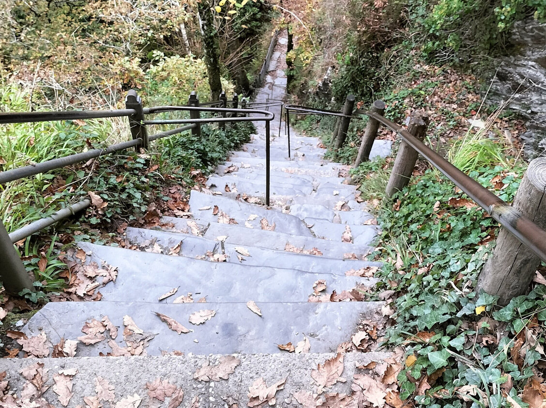 Devil's Bridge Waterfalls-Devil's Bridge (Pontarfynach)必去景点