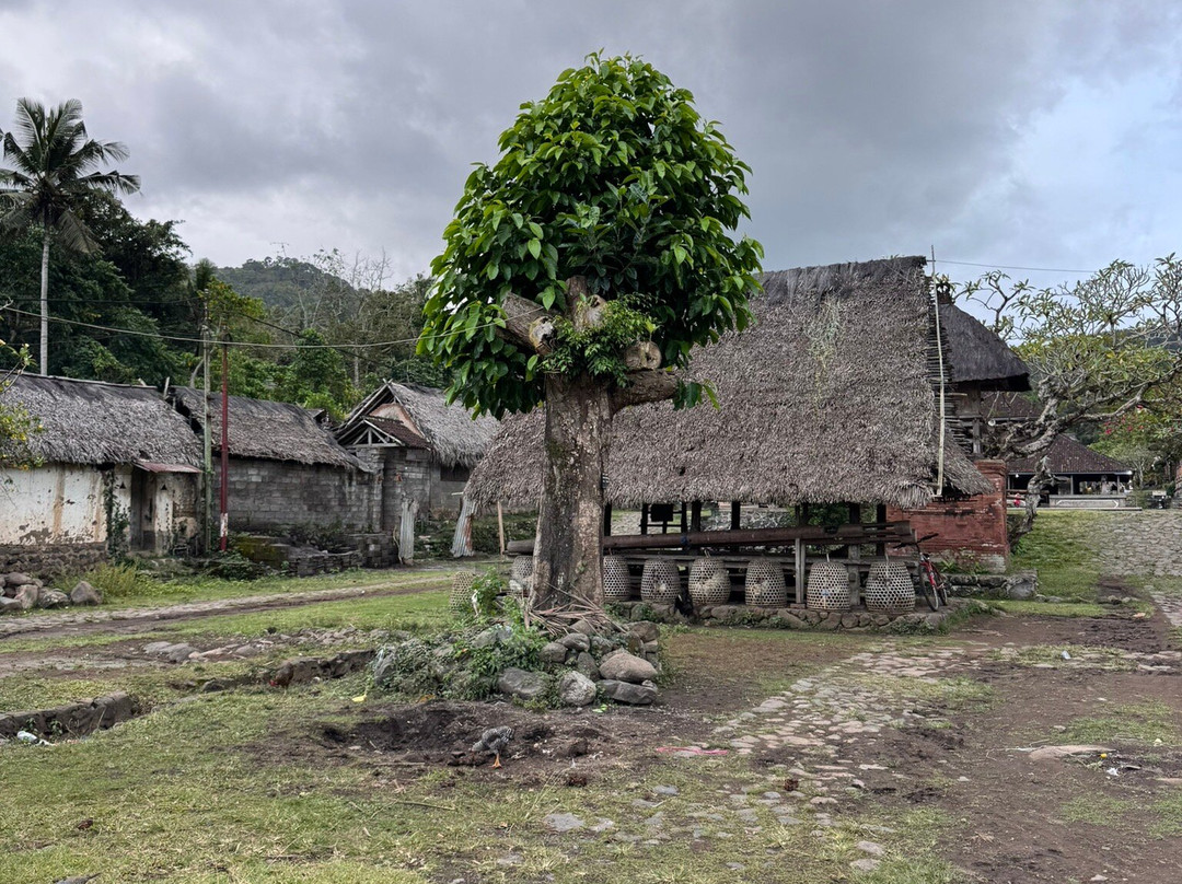 Exo Bali Tour & Travel-登巴萨必去景点