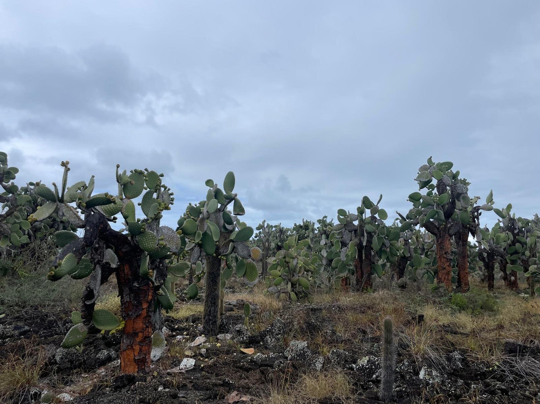 Equator Expeditions-Nayon必去景点