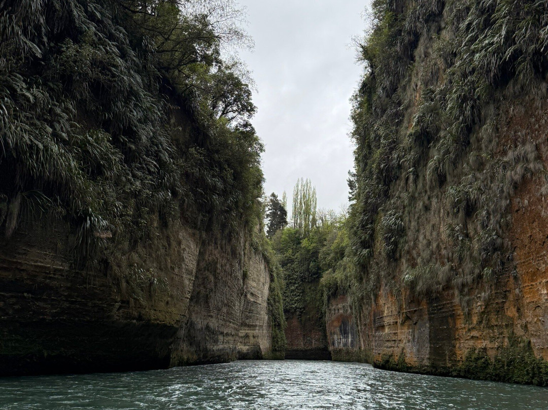 Tarata Fishaway主图