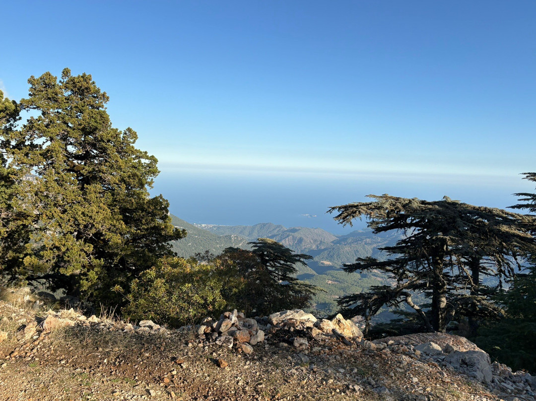 Hilal Ranch Kemer Horse Riding Center-凯梅尔必去景点