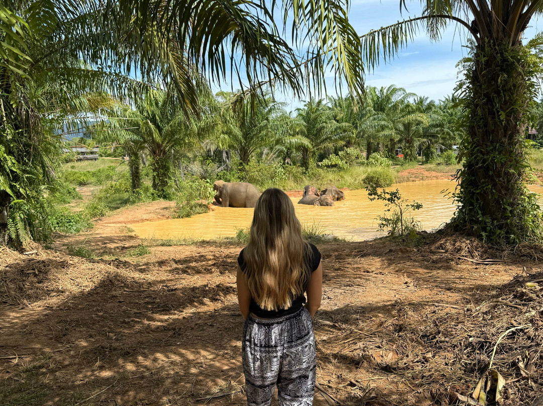 Following Giants - Krabi-Khlong Hin必去景点