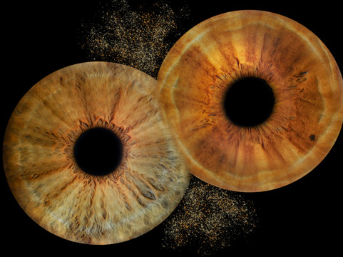 Vizualeyes Leeds-利兹必去景点