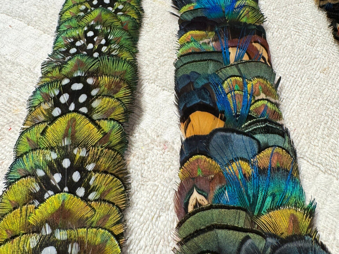 希罗胡奴旅馆主图