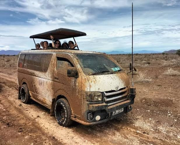 Olenini Safaris-纳罗克必去景点