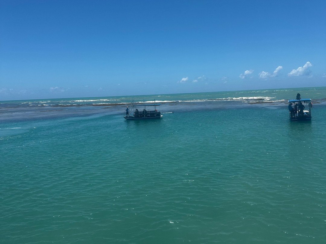 Passeio do Patacho - Agência de Turismo-Porto de Pedras必去景点
