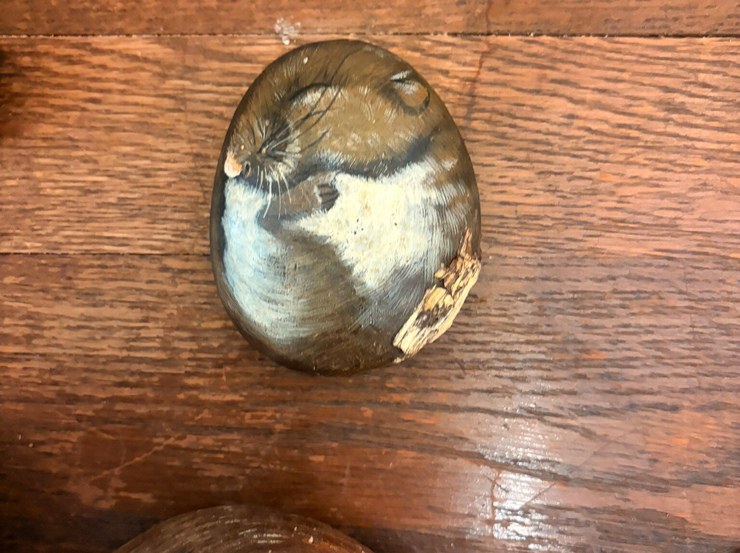 Robert Fletcher Wildlife Artist Studio & Aviaries-Satterthwaite必去景点