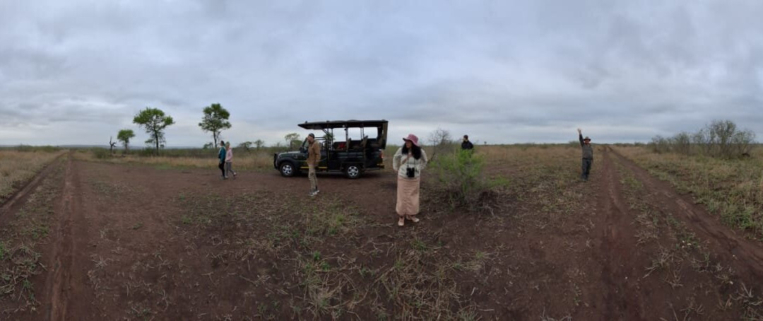 Royal Safaris-库马堤港必去景点