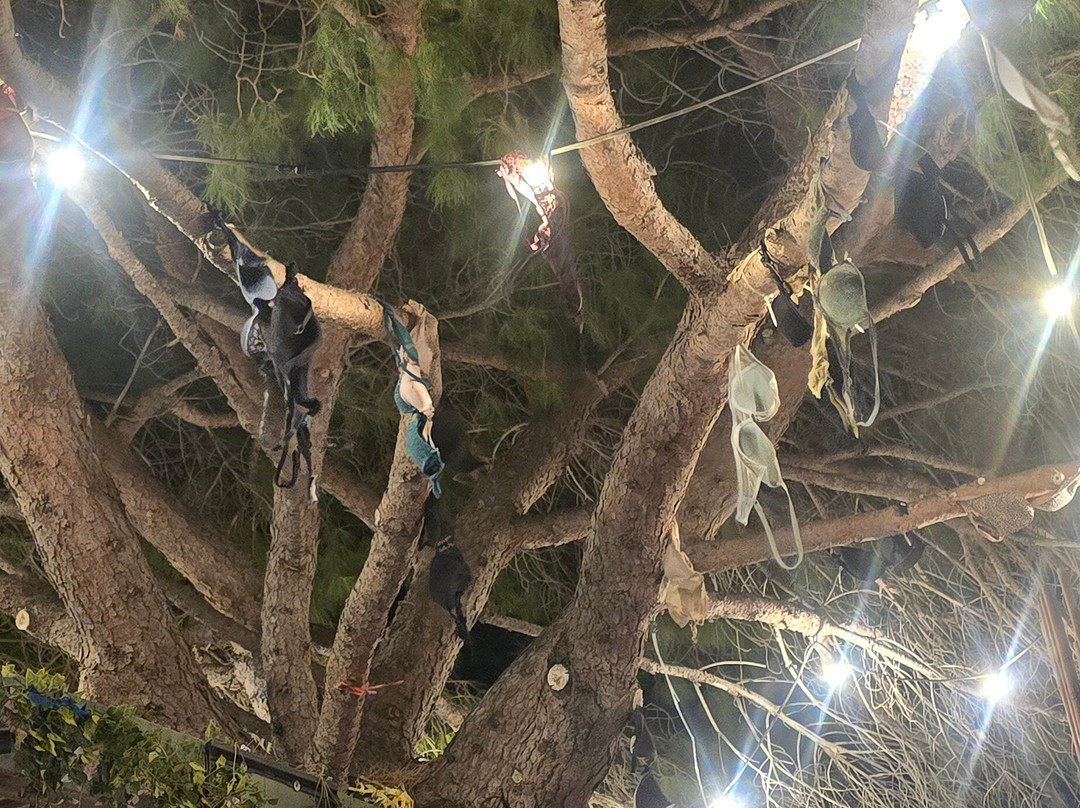 Zapata-纳博讷必去景点