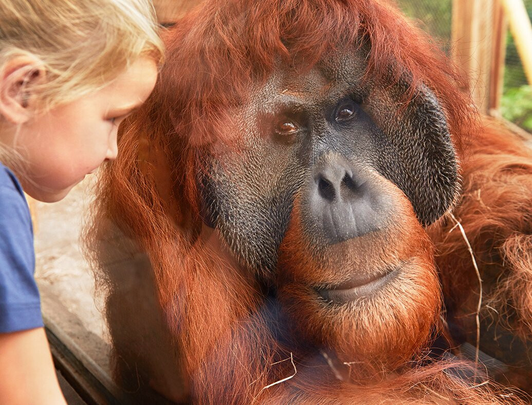ZOOM Erlebniswelt_Official Site-Gelsenkirchen必去景点