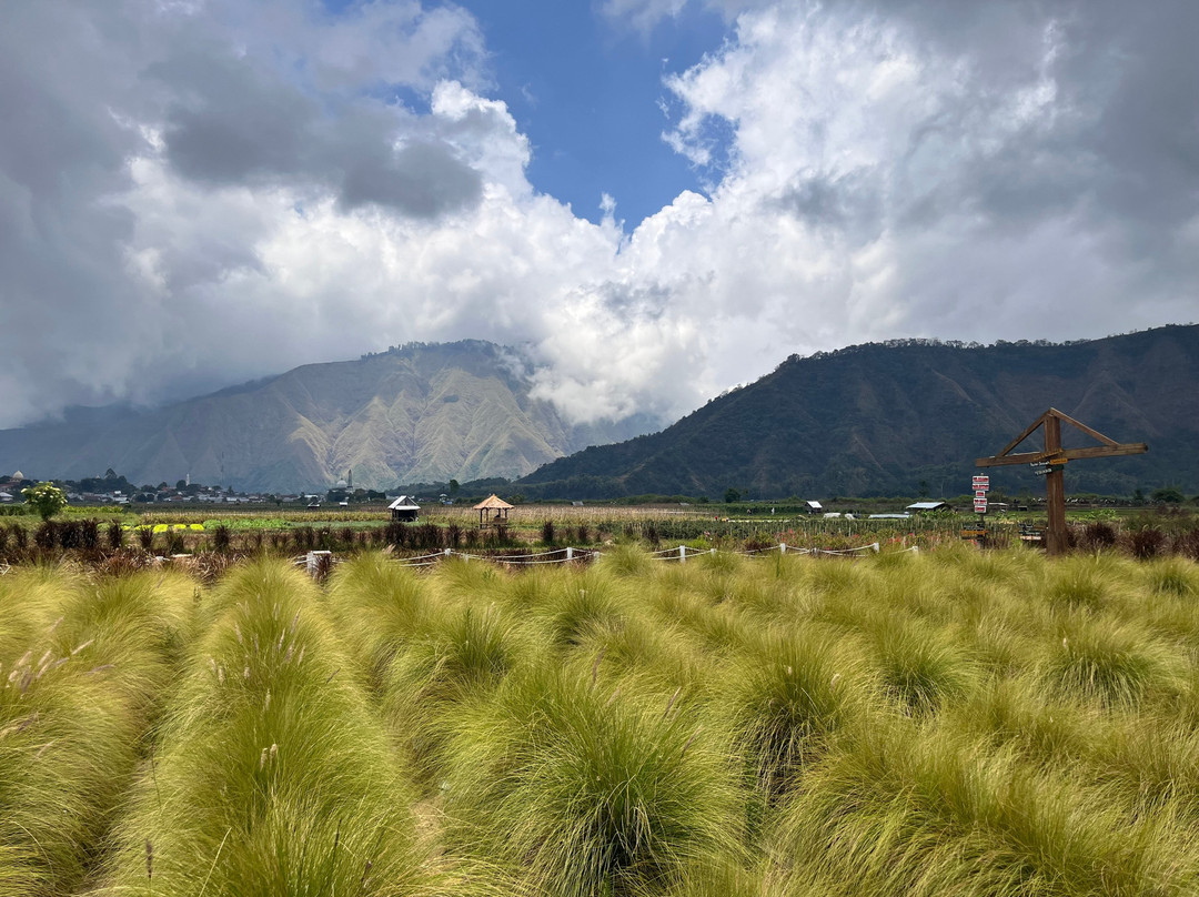 Lombok Transport Guide & Driver-Sukarara必去景点