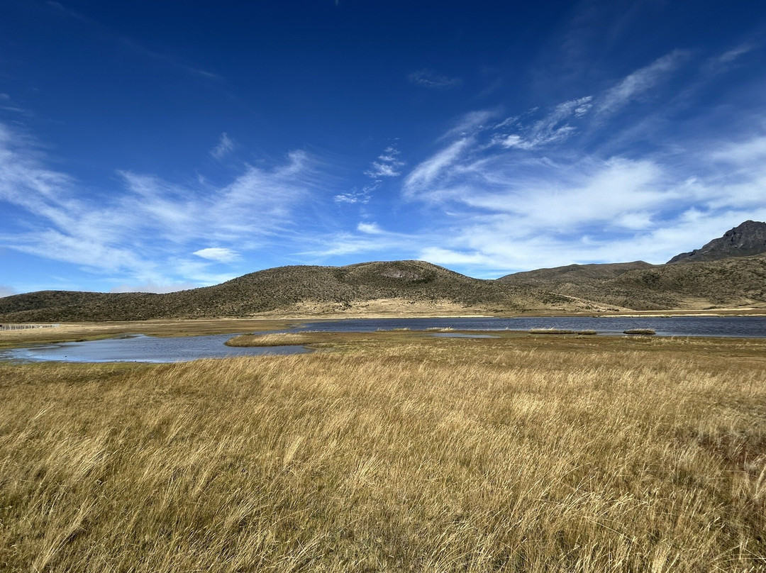 Laguna de Limpiopungo-拉塔昆加必去景点