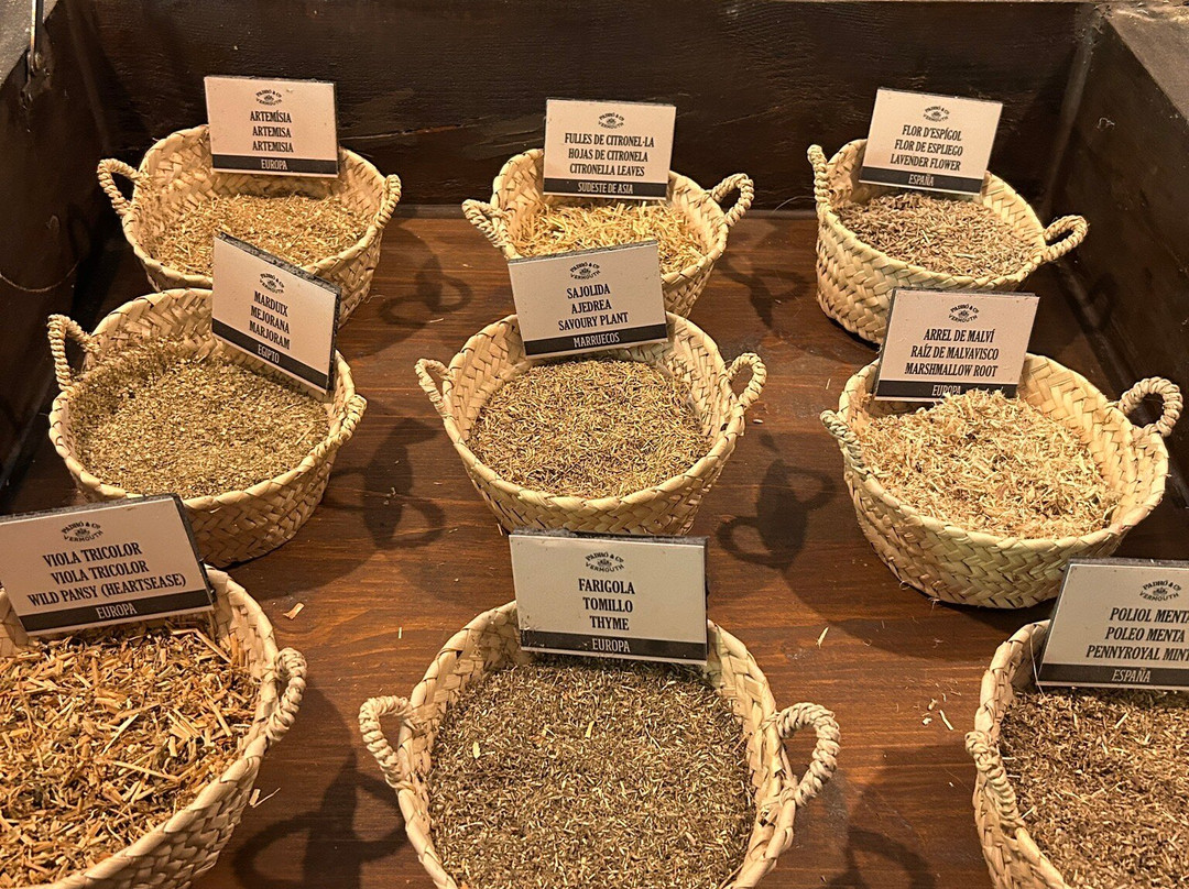 Casa Vermouth Padró-Brafim必去景点