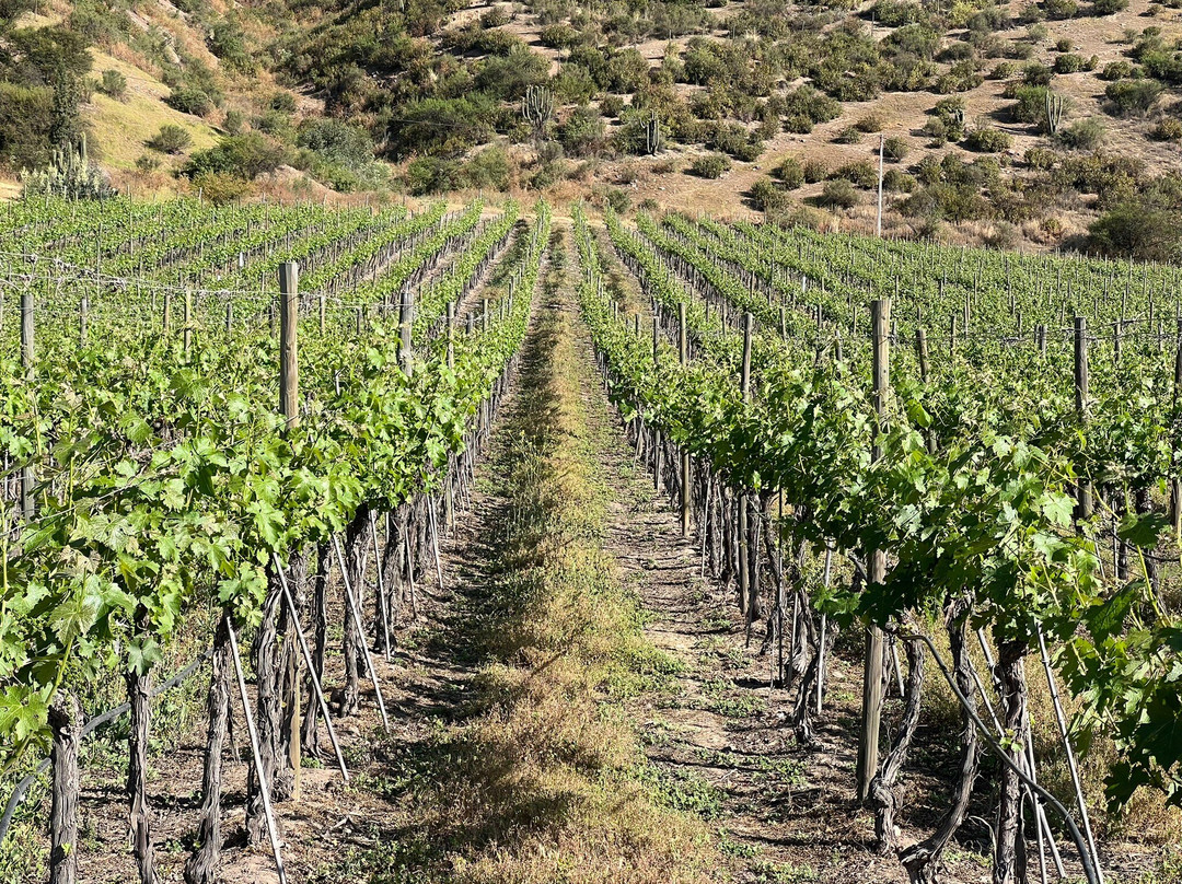 BESOAIN Wines-Pirque必去景点