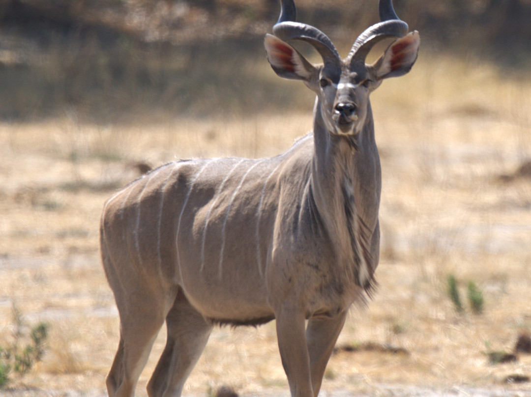 African Guide Academy-马翁必去景点