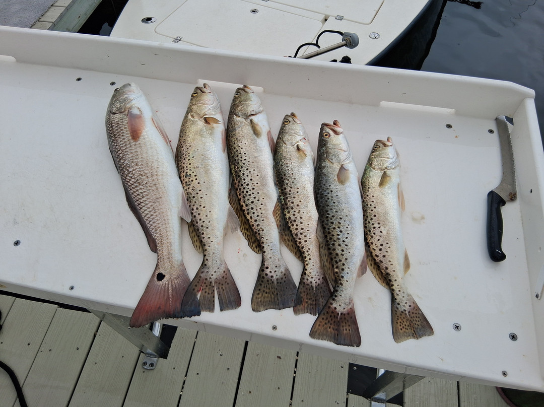 Florida Fishing Adventures-克里斯特尔里弗必去景点