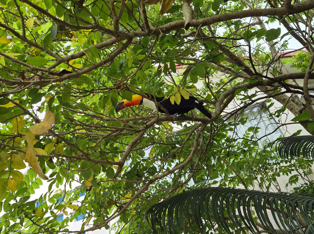 名护Neo自然动植物公园-名护市必去景点