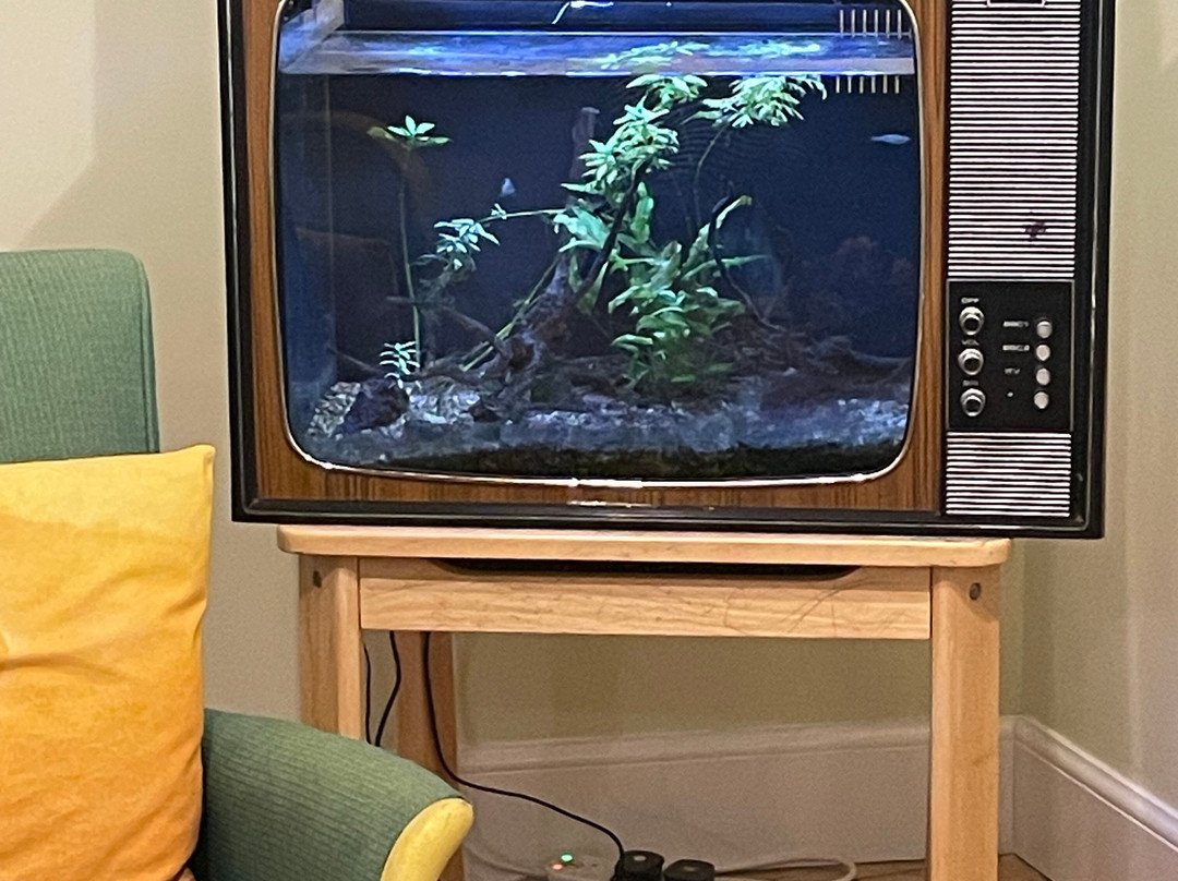 The Dolphin Inn主图