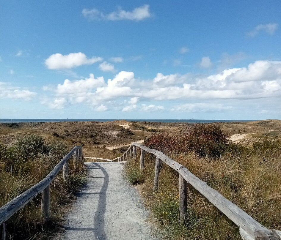 Uitzichtpunt Panneduin-Wassenaar必去景点