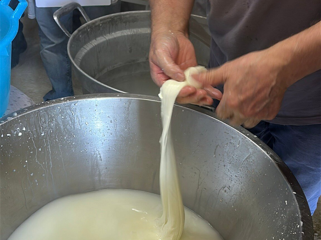 Adamà - Culinary Experience-Atena Lucana必去景点