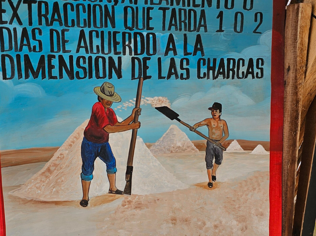 Salinas de Manaure-Manaure必去景点