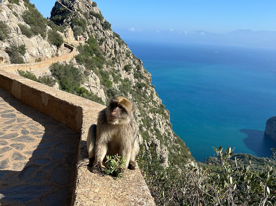 Pic des Singes-Bejaia必去景点