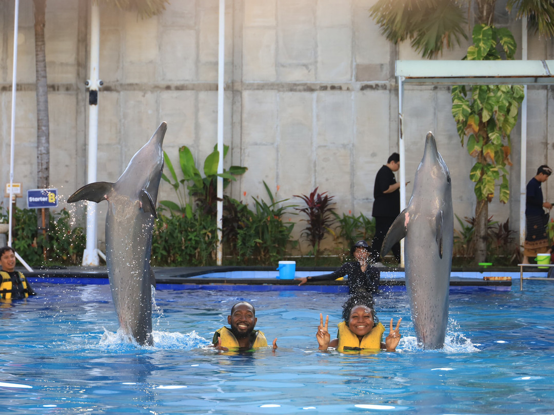 Bali Exotic Marine Park-登巴萨必去景点