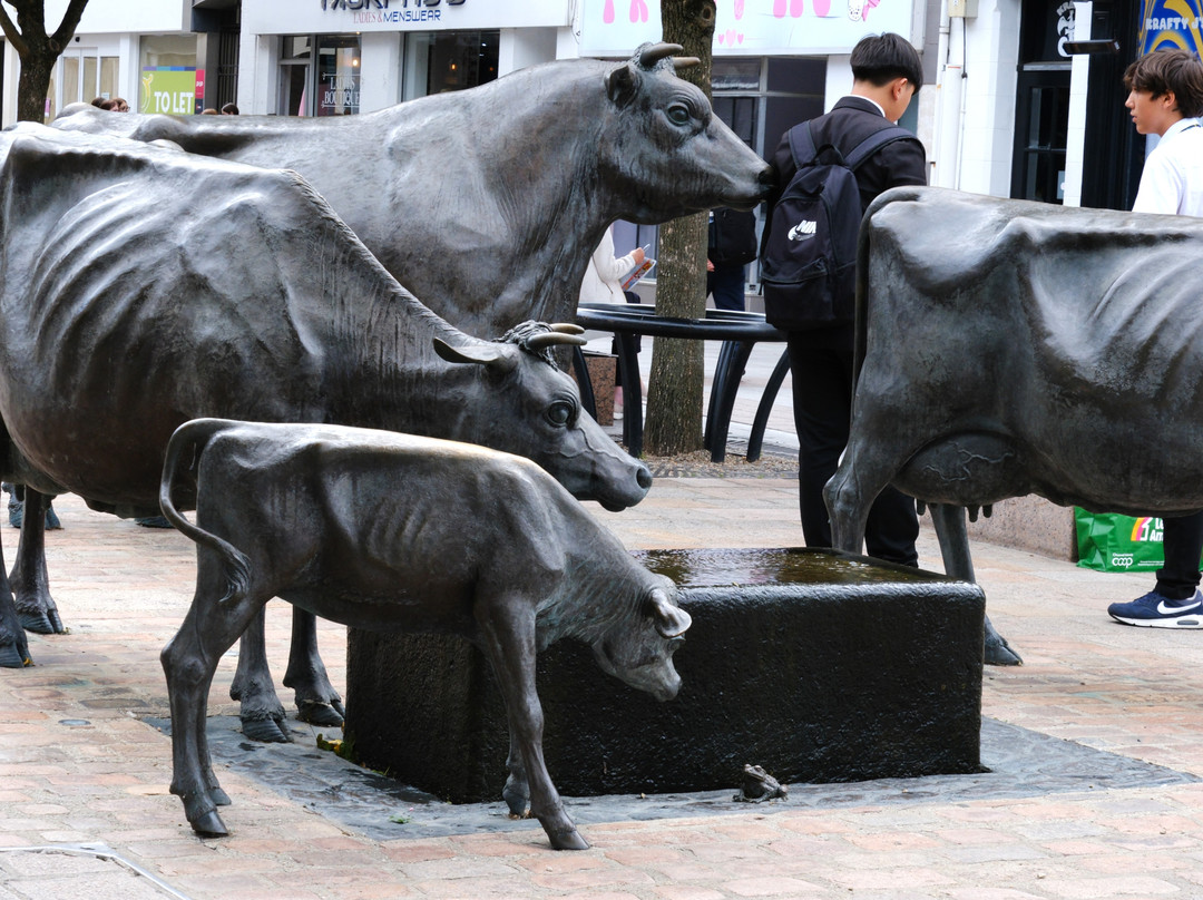 La Vaque de Jerri-St. Helier必去景点