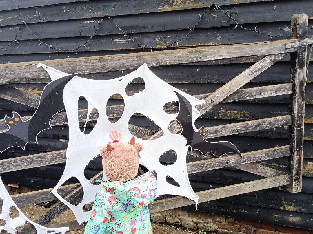 Lee Valley Animal Adventure Park-沃尔萨姆阿比必去景点