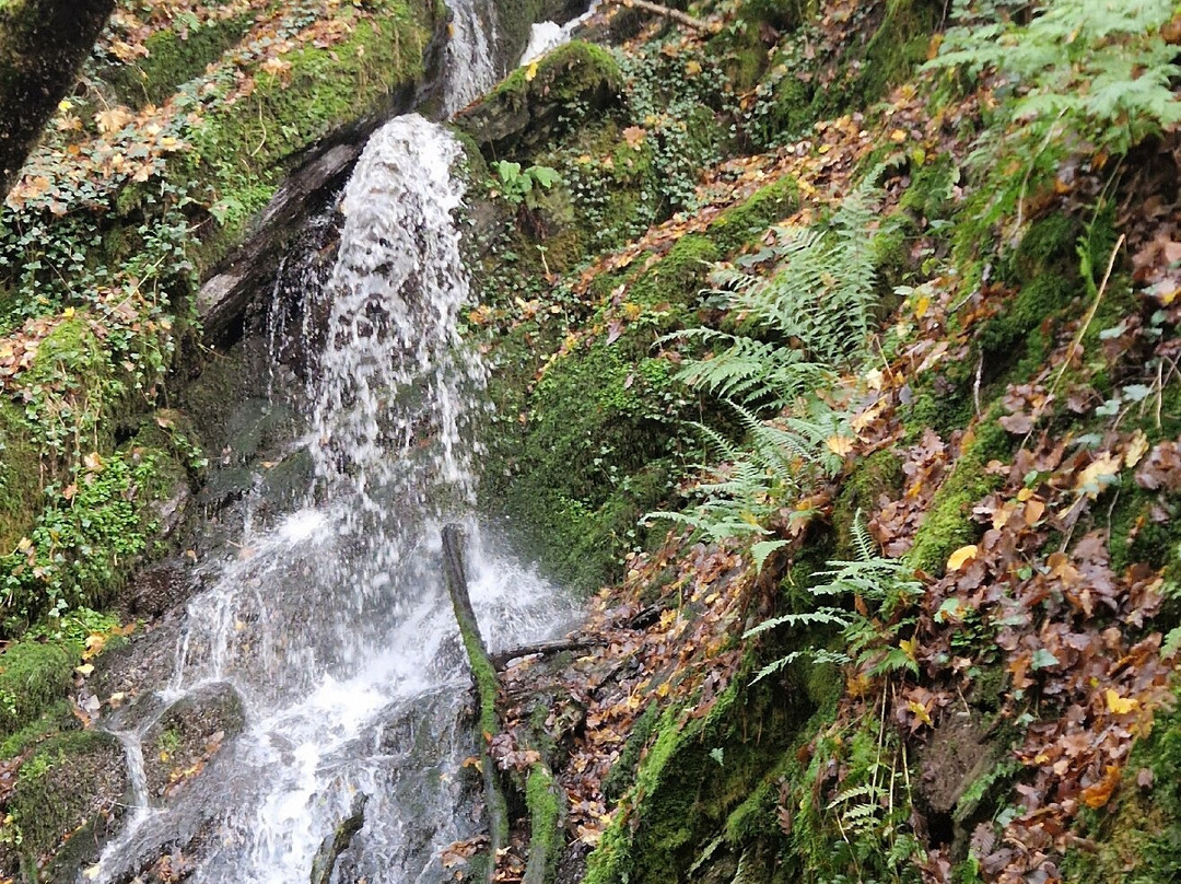 Moselromantik-Hotel Weissmuhle主图