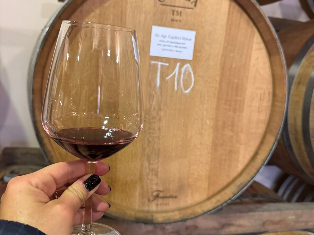 Capitoni Marco Azienda Agraria-皮恩扎必去景点