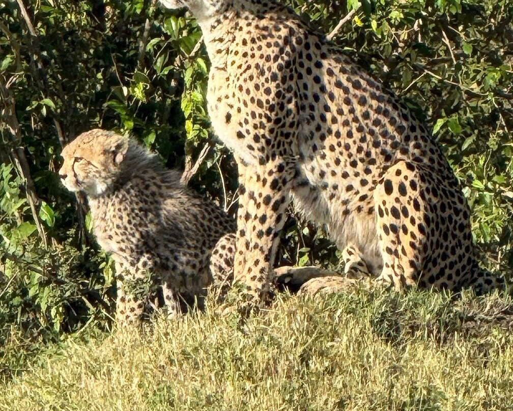 The Safari Company Ltd-Karen必去景点