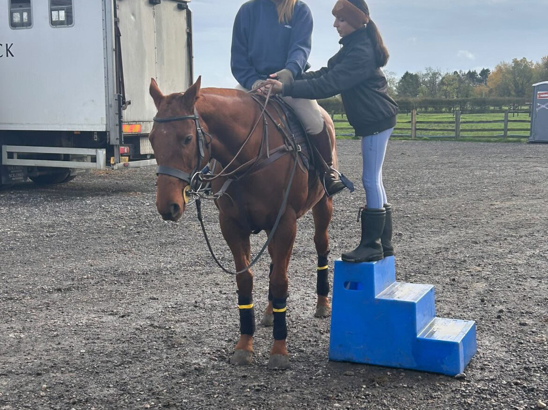 Dart Polo Academy-Gainsborough必去景点